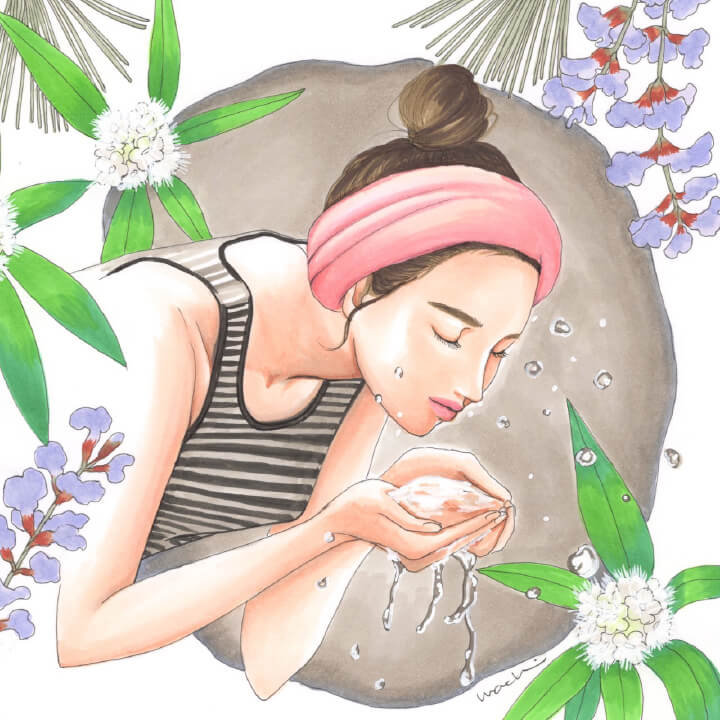 Illust Collection