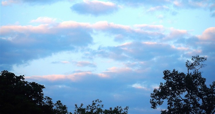 Sky Soap