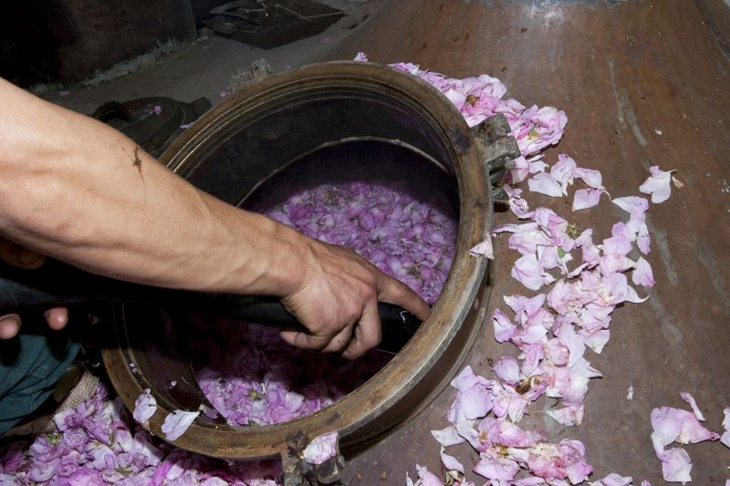 roseさま専用 ligne roset 「ROSET PRADO」のご紹介〜✨ | ナフコ TWO-ONE STYLE